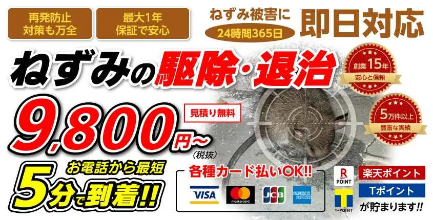 ねずみ駆除・退治　飲食店・コンビニからの追い出し