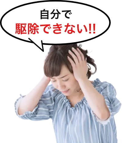 ねずみ被害に困る